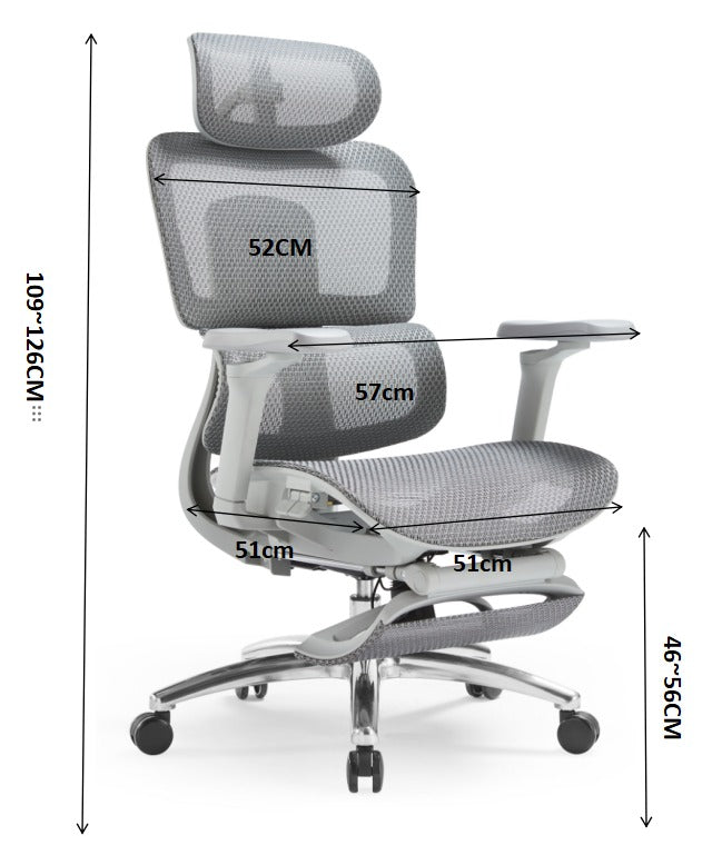 Ergonomic Executive Office Chair – Adjustable Headrest, 5D Armrests, Mesh Back, Footrest, Polished Aluminum Base – Grey - Brand New