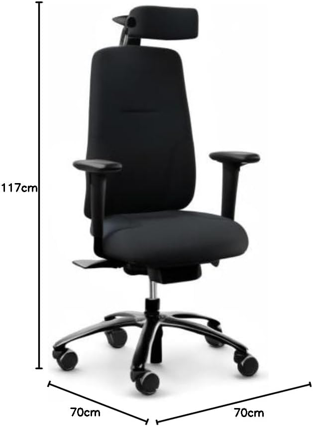 RH Logic 220 Ergonomic Office Chair with Headrest