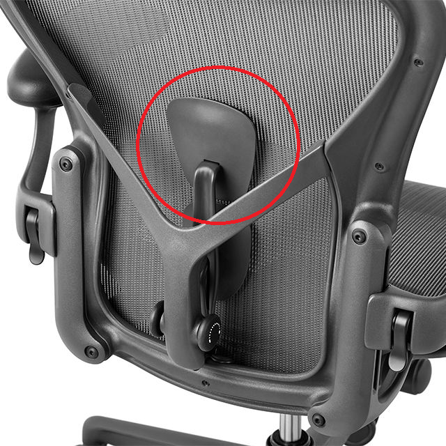 PostureFit SL Back Support Pad for Aeron Remastered Chair (Top Pad Only)