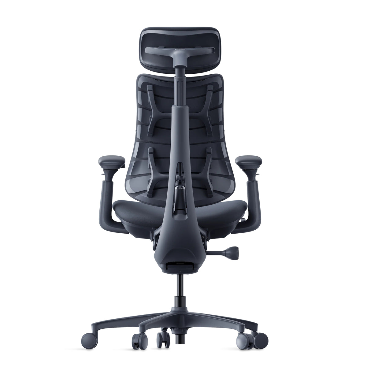 LiberNovo Omni ergonomic chair in Midnight Black, rear view showing the back frame
